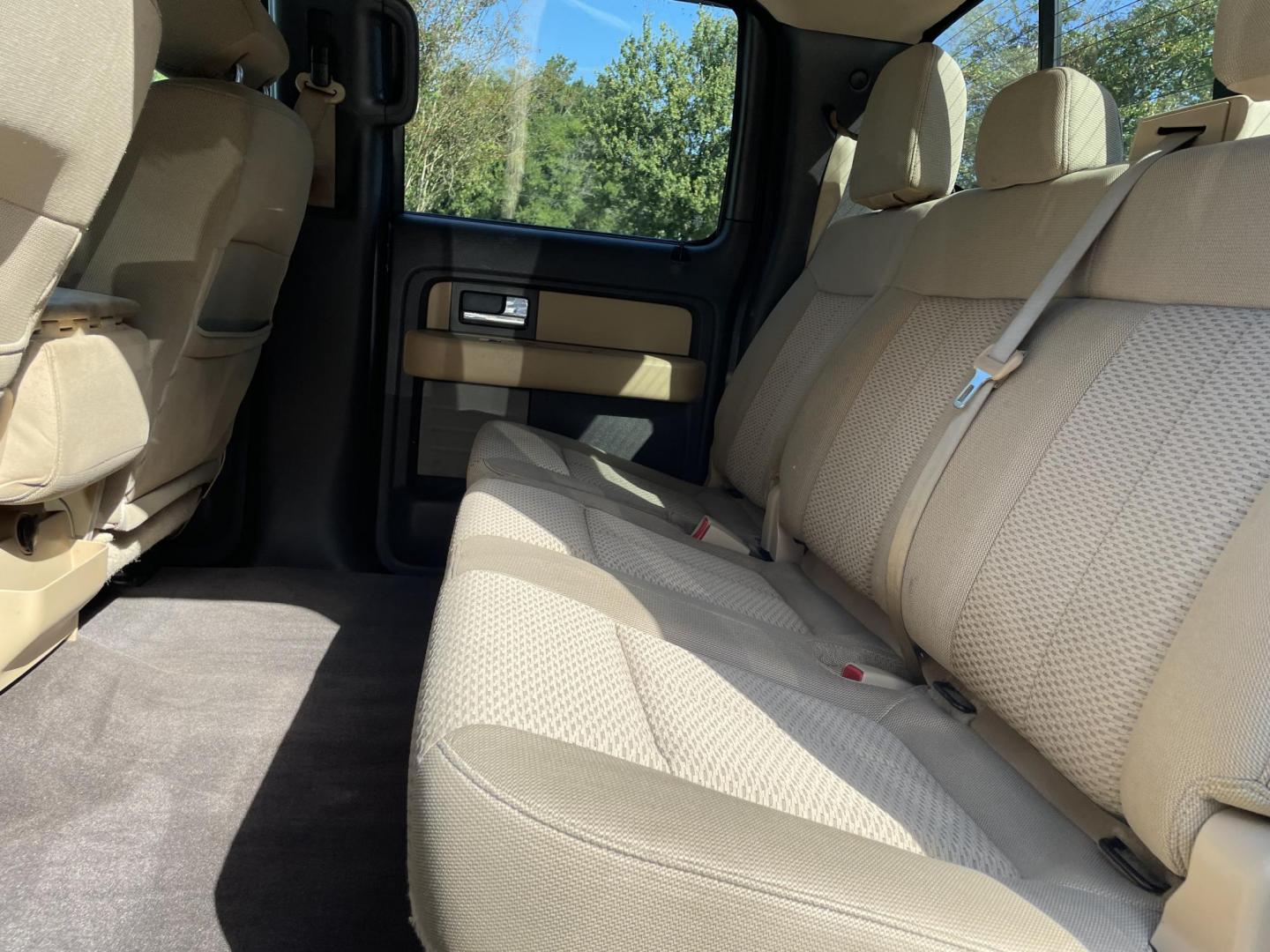 2014 BLUE FORD F-150 XLT (1FTFW1CT7EK) with an 3.5L engine, Automatic transmission, located at 5103 Dorchester Rd., Charleston, SC, 29418-5607, (843) 767-1122, 36.245171, -115.228050 - Photo#12